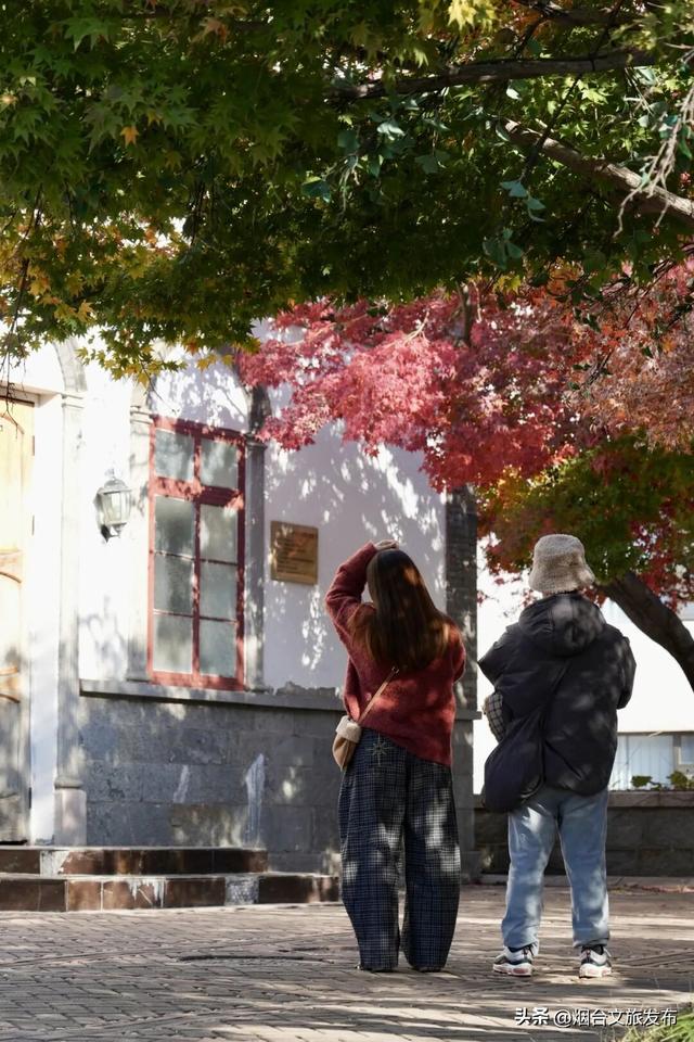 【乐游烟台】现在就冲！烟台这几处街景美到开挂