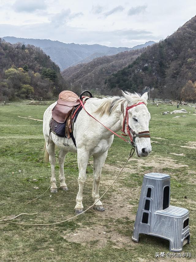 秦岭狮子沟牧场&牛奶湖