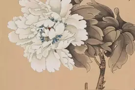 工笔牡丹各种颜色的花头画法解析图片