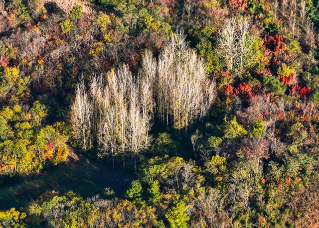 一键收藏!明光南部2025年秋景大赏