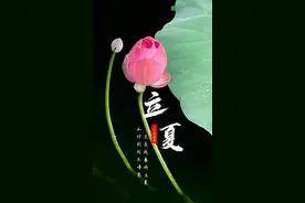 立夏养生大作战： “趁热”养生，横扫暑湿！图片