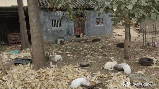 在邹城乡镇的一家小卖部，竟然藏着一座千年古寺。