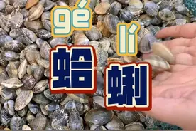 蛤蜊不读gě lì，也不读há la，它到底读什么你知道吗？图片