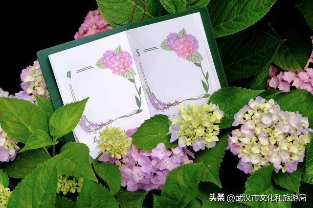 当武汉植物园来了“新朋友”！五大自助神器，等你来解锁