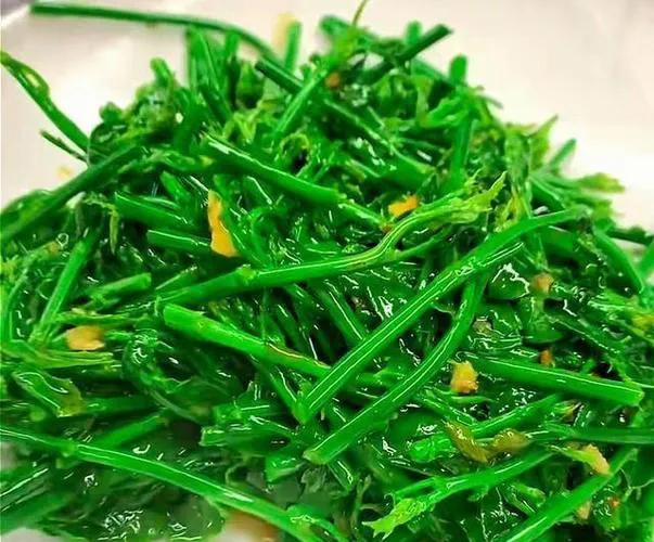 立秋过后，要使劲吃这菜，一排毒、二助眠、三清肝护眼，清新脆嫩