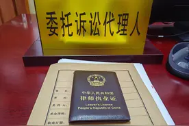 打官司 除了请律师你还可以找这四种人帮忙，你知道吗？图片