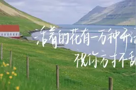 人间清醒高级文案 | “活着的花有一万种开法，祝你方寸不乱。”图片