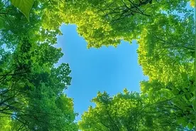 精神分裂症能治好吗？需要多久呢？图片