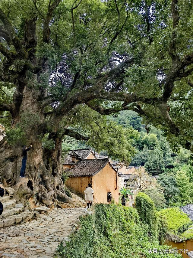 进山寻觅松阳的古村落，结果让我看到了与北方不一样的地方