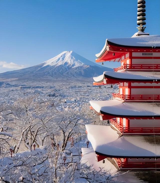 日本旺季变“杀局”， 又是熊袭又是停航 ， 这一波去旅游纯属找罪受