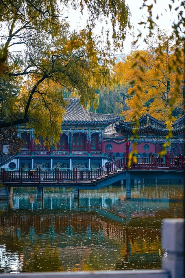 临夏的秋天，是一场金色的仪式