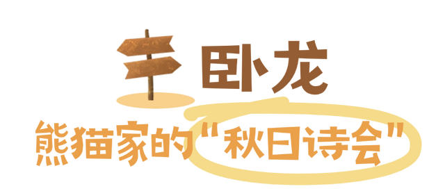 “捡”秋，本宫的眼睛想看彩林了！