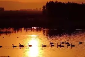 落霞与孤鹜齐飞有多美图片