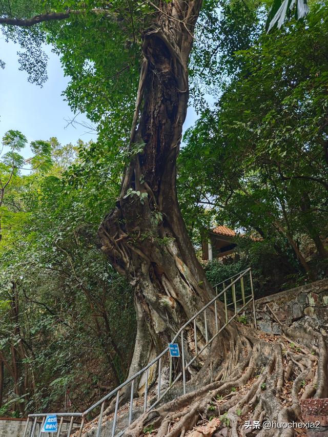 佛山真好逛——锦岩南街与锦岩公园