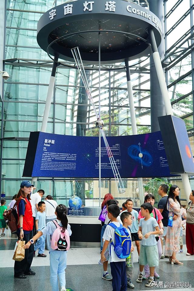 研学项目四大核心弊端与避坑指南：让每一分钱都花在刀刃上