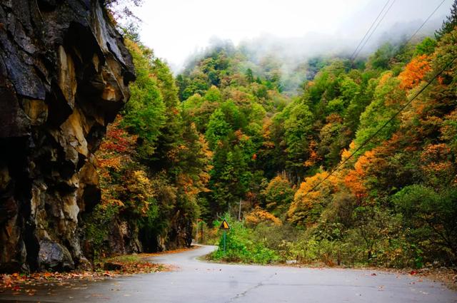 赏秋正当时!自驾来汉中,赴一场秋日视觉盛宴~