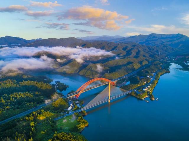 别等了！黄山的秋已铺满诗意，就差你的一句告白 | 皖美秋日