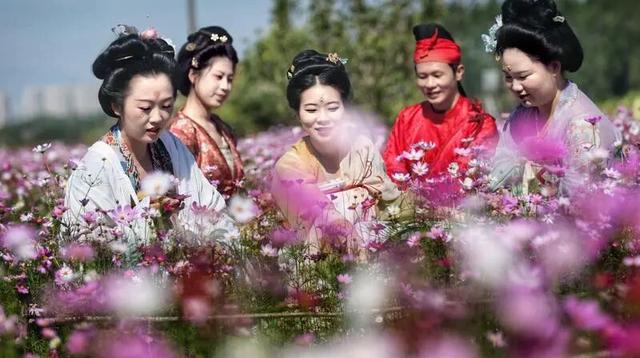 惠聚美好丨冬日惠州，繁花竞放