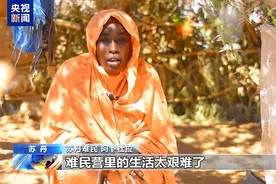 苏丹粮食危机严峻 多个地区陷入饥荒图片