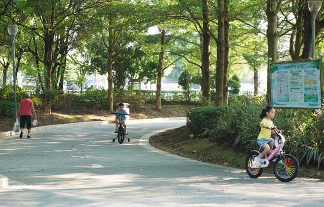 怀集文旅体事业发展,五年成绩很出彩!