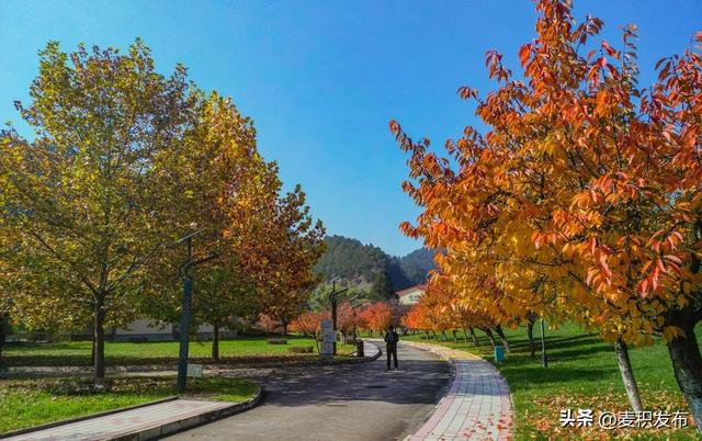 【东方微笑 多彩麦积】摄影师看麦积 | 初冬和谐园景色如画（上）