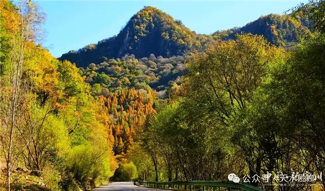 【联动宣传】天水的初冬，美得“从从容容，游刃有余”