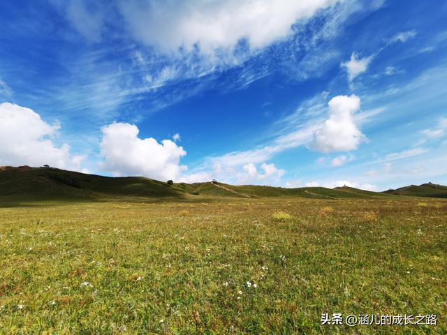 总要去趟草原吧！自驾塞罕坝和乌兰布统超简攻略（附图超全）