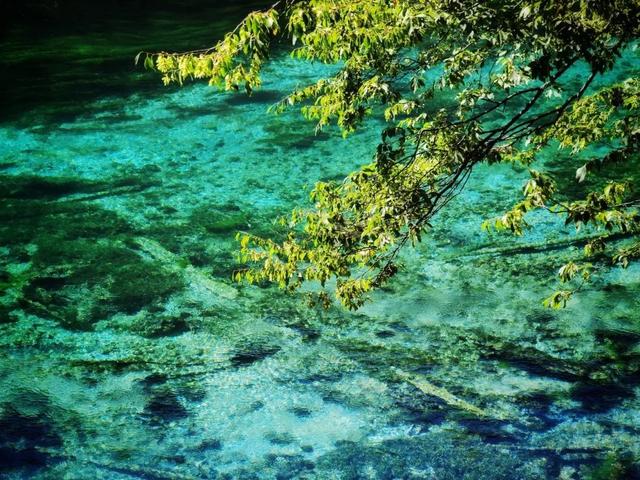 斑斓水色，波光如鳞，九寨沟写下秋天的第一行诗~