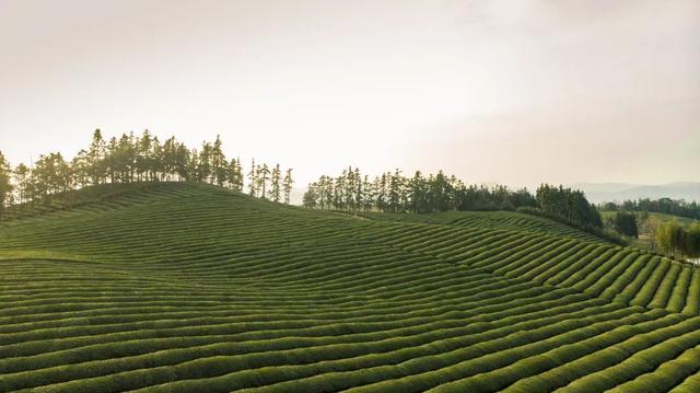 旅行日记 | 赴高岭文化村邂逅诗画时光