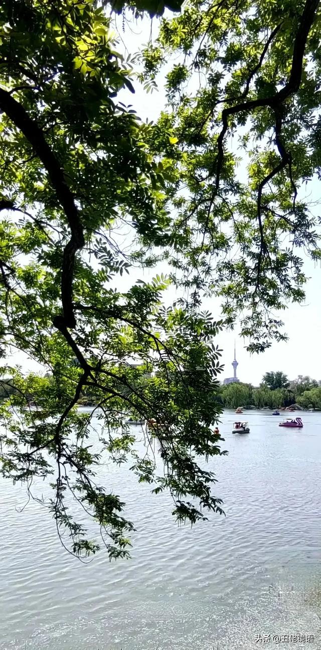 自拍影集（30）紫竹院公园风景绿水轻舟·上