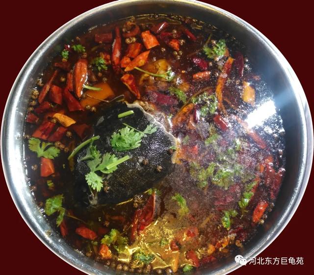 万平雪场+专业配套！这里已开园！解锁冬日速度与激情！