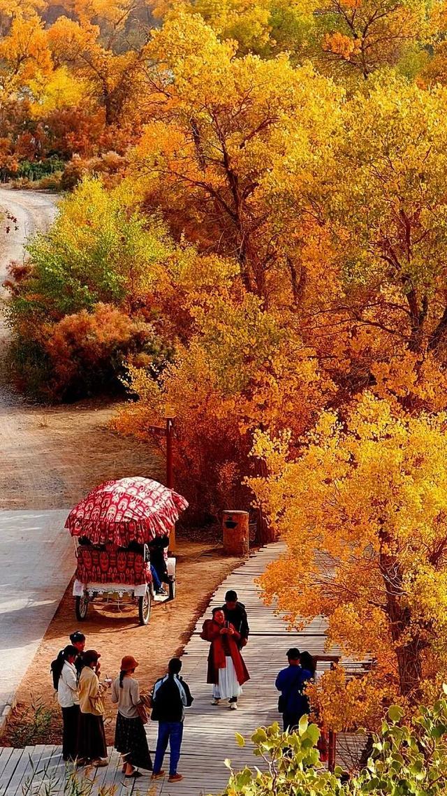 邢强 | 秋游南疆