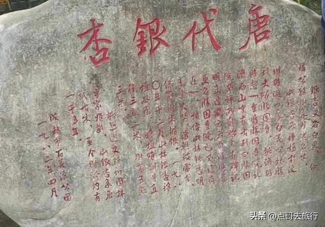 成都这5大千年银杏，超级惊艳，其中一株相传是杨贵妃种植！