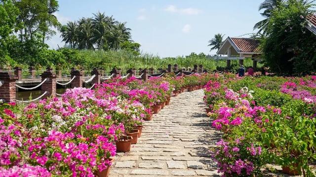 万宁溪边村：邂逅三角梅下的书香悠闲时光