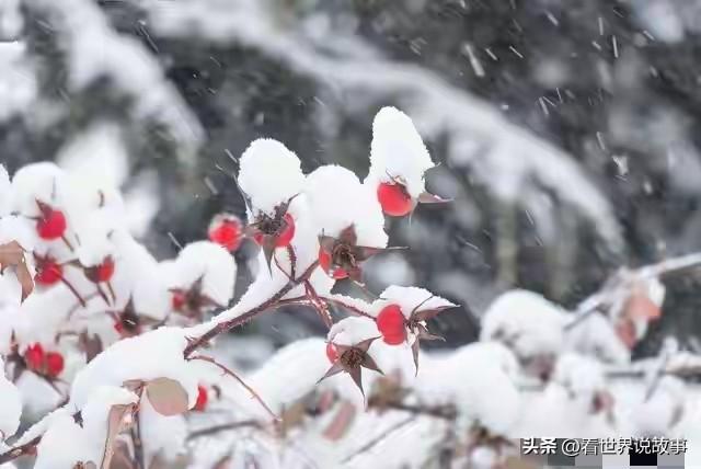 明日九月初一不一般,老人说"大雪来不来,就看九月初一",今冬大雪?