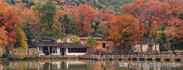 苏州秋季赏秋全攻略！9 大秘境从园林到山野，红枫银杏拍不停