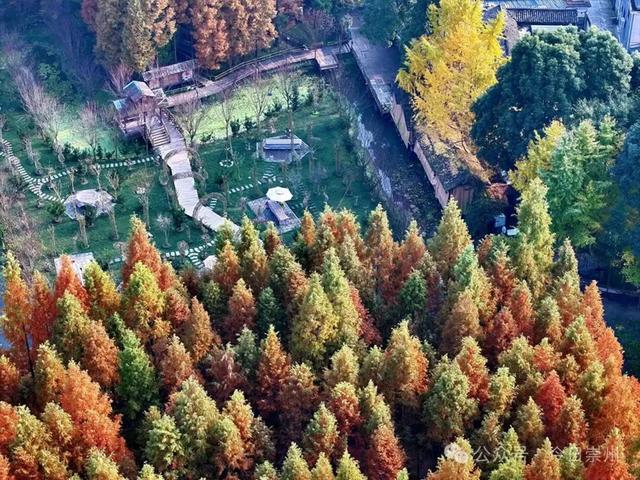 出片率100%！为崇州这些高颜值路连发三天朋友圈！