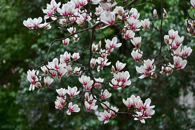 高铁直达！最适合3月小住几天的安逸小城，节奏慢，每个都超治愈