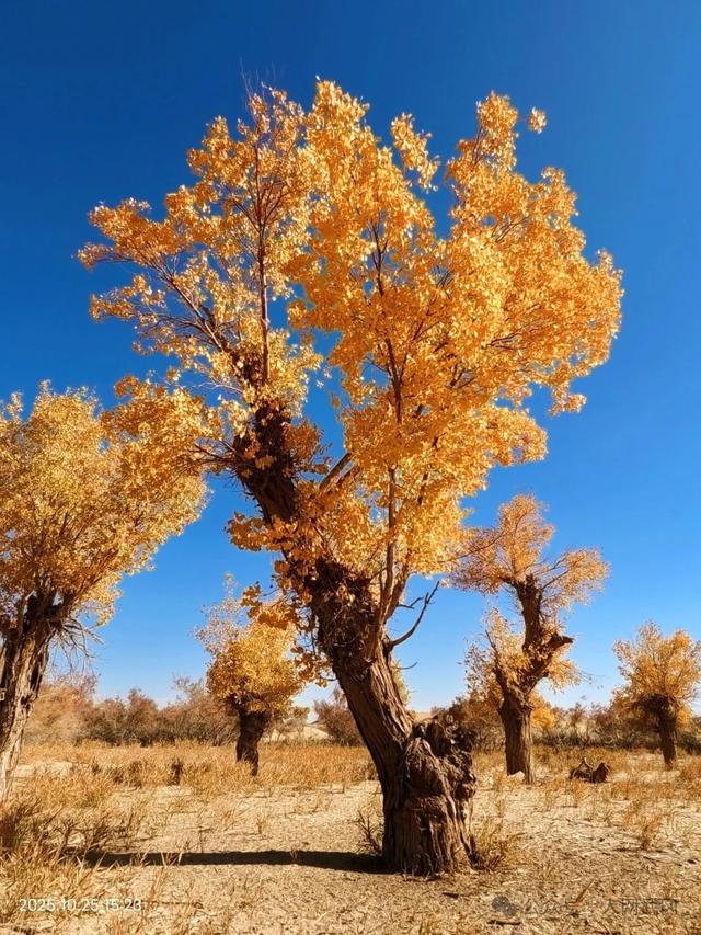 帕米尔高原礼赞