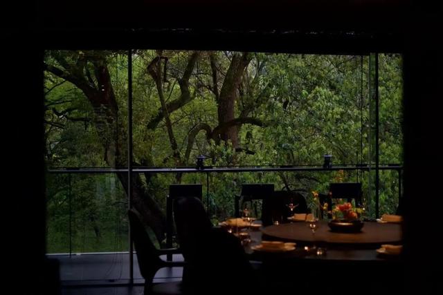 孕妇可以吃花胶杏仁露 2026年孕妇可以食花胶吗