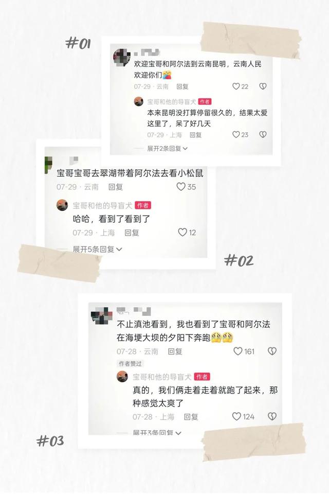昆明这8家酒店可携导盲犬入住！网友：这波操作太有爱了~