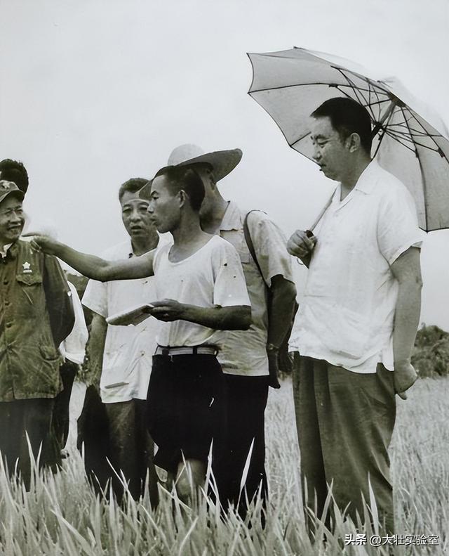 华国锋的夫人韩芝俊有多美？1961年的全家留影，30岁她端庄贤惠