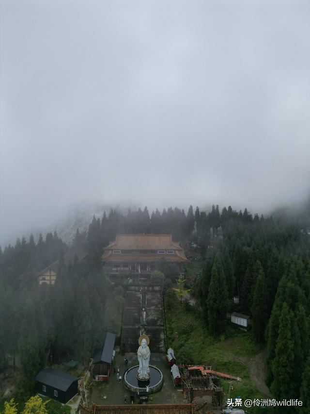 四川行(73)什邡红枫岭徒步到钟鼎寺