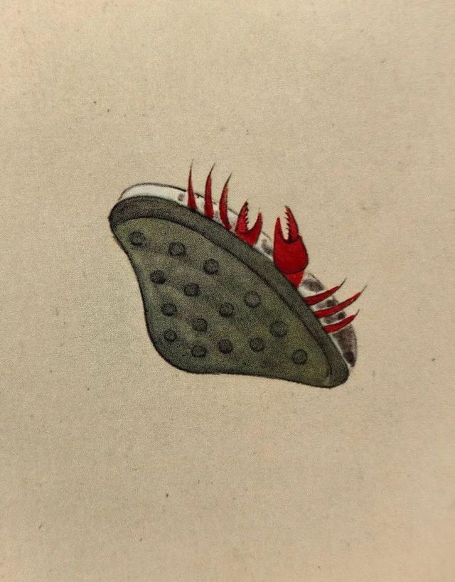 这画，真实又让人脑洞大开！