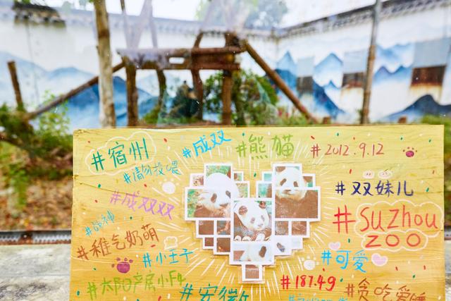 宿州野生动物园，从丛林之王到水上舞者，假日亲子研学游的好去处