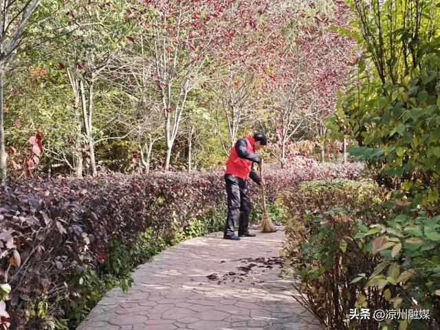 洁净景区齐守护：区文旅局开展“全域无垃圾·景区更美丽”新时代文明实践行动#厚道甘肃