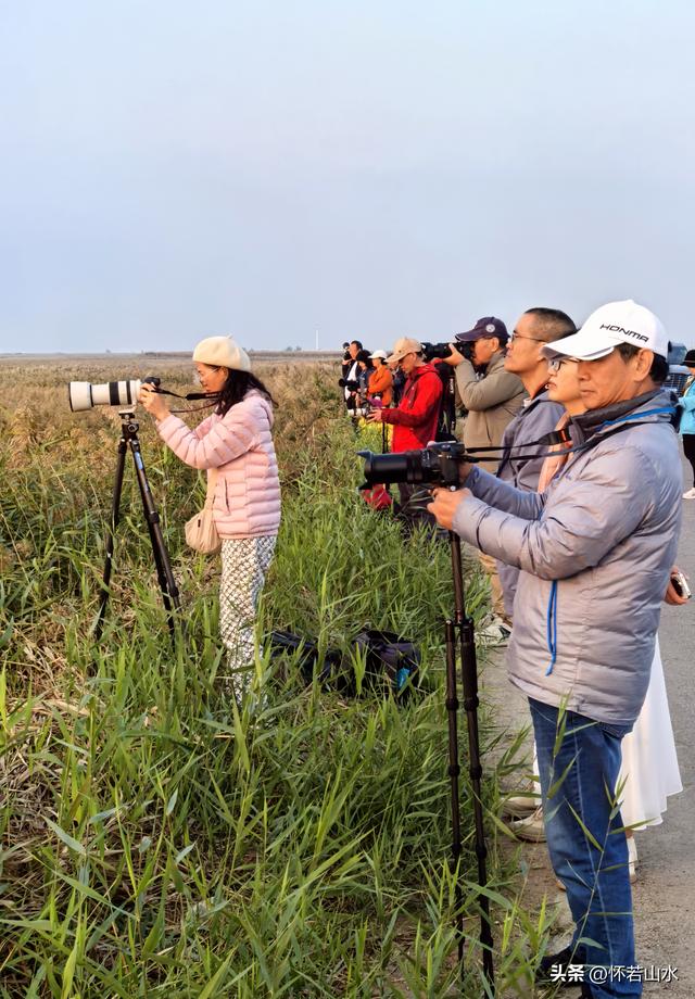 2025辽宁赏秋之旅日记(6)——到辽河口中国最北海岸线看日出 观鸟