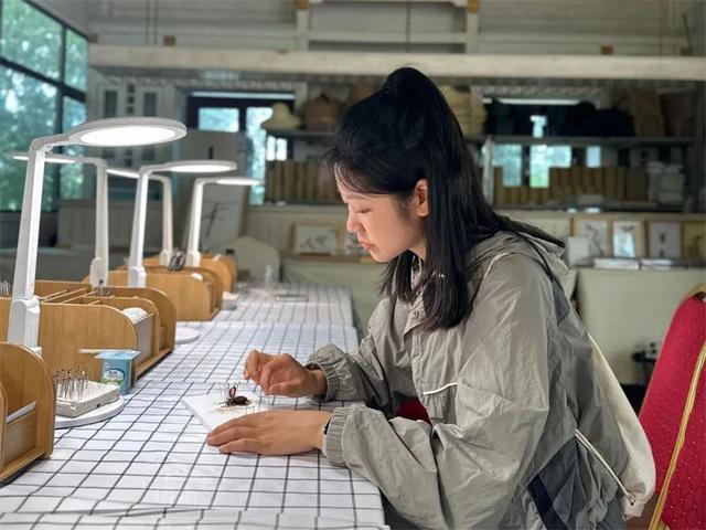 普洱太阳河森林公园联手携程景点玩乐共同打造——云南虫谷森林体验馆震撼上新！