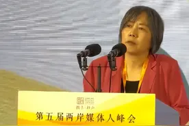 “我们这一代人，要把台湾带回家”图片