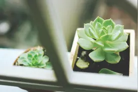 母亲喊我五一回家过节，餐桌上提出三个要求，吓得我连夜开车回家图片